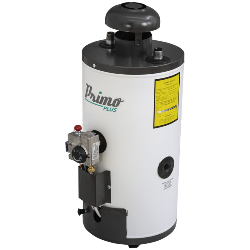 CALENTADOR PASO MINI PLUS 6LTS GAS NT